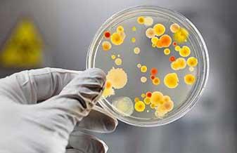 Cláudia Weilgoertner Palm - Foto 1