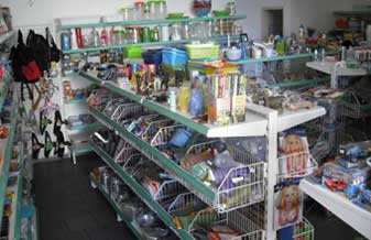 O Mundo do Real - Foto 1