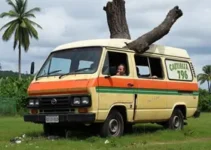 uma van derrubou uma árvore no Crato