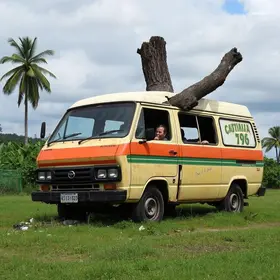 uma van derrubou uma árvore no Crato