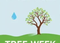 resiliência climática