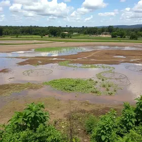 MP do Ceará