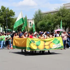 Semana do Meio Ambiente