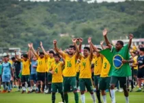 torcida da Seleção