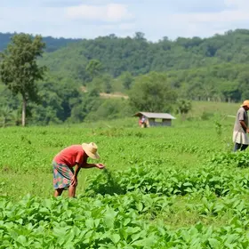 agricultura familiar