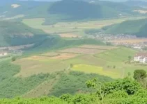 geração de empregos no Cariri