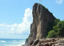 Carrapato Rock 80 anos Flona Araripe