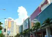 campanha em defesa da mulher