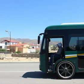 transporte gratuito para pessoas com deficiência