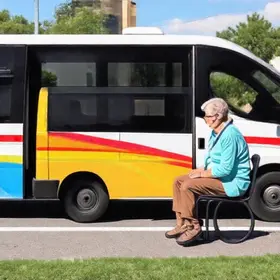 transporte gratuito para eleitores com deficiência