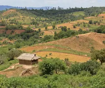 coleta seletiva no Crato