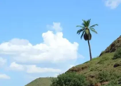 Últimas noticias de Crato