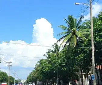 propostas educacionais
